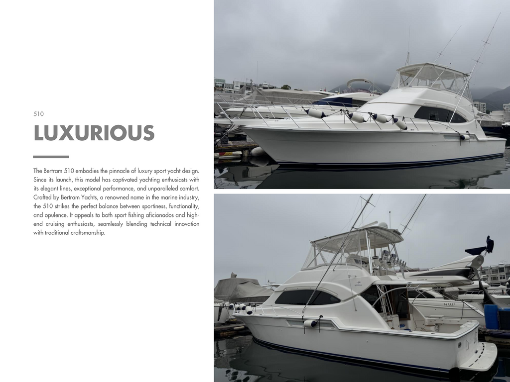 2007 BERTRAM 510